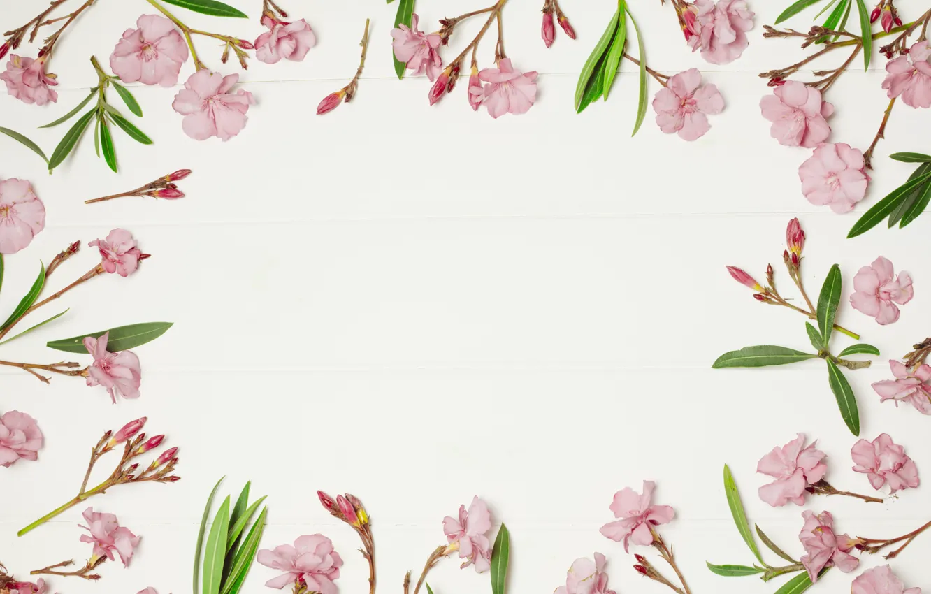Photo wallpaper flowers, background, frame, pink, pink, flowers, frame, floral