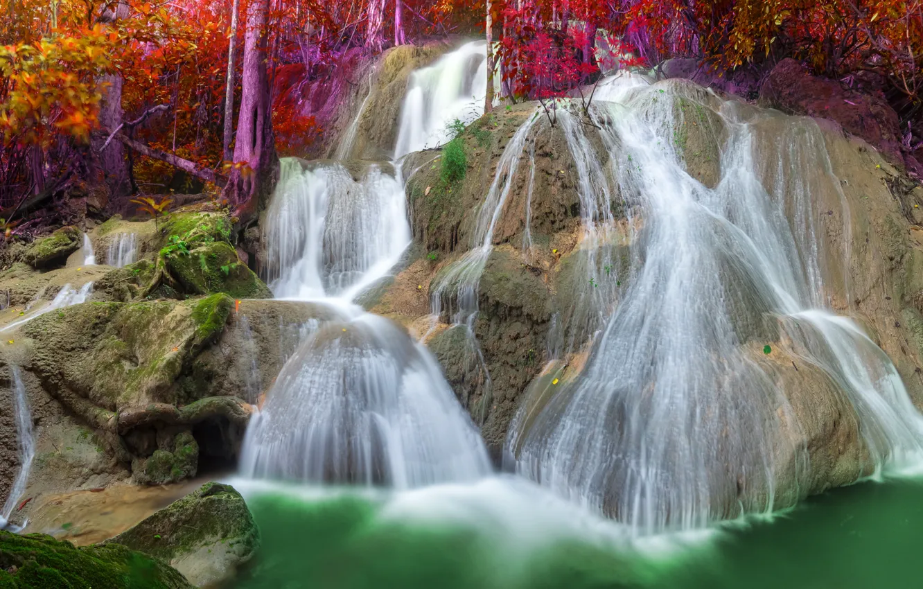 Photo wallpaper autumn, forest, nature, waterfall, stream