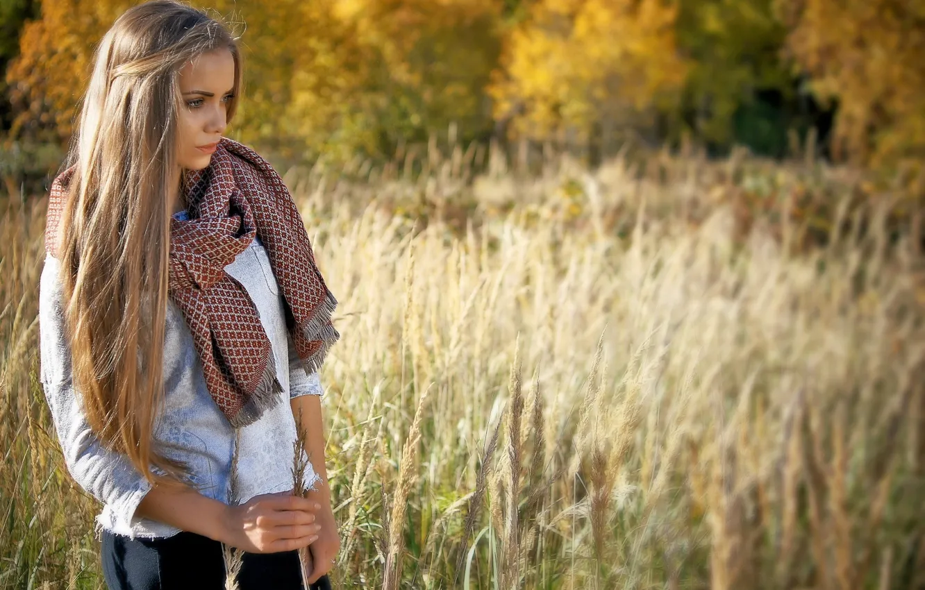 Photo wallpaper autumn, grass, girl, the sun, trees, glade, model, portrait