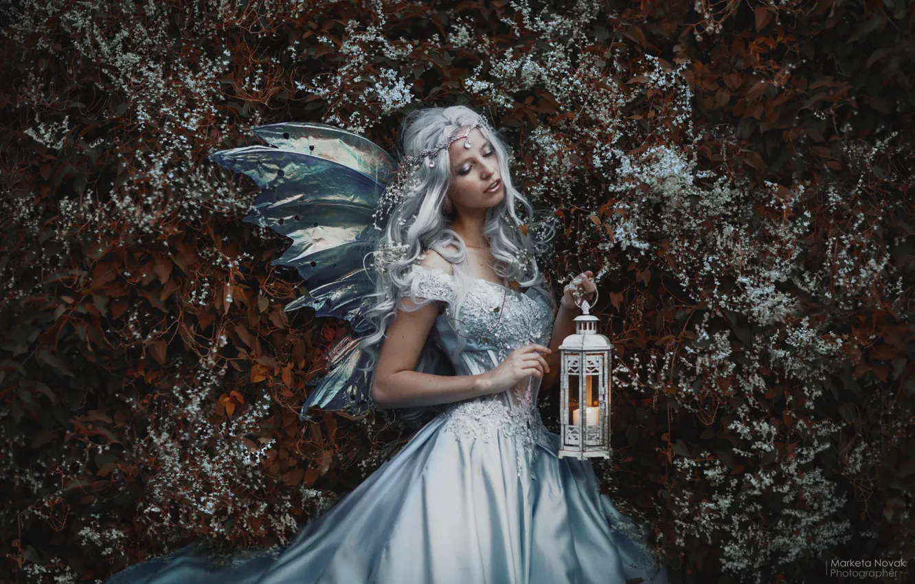 Photo wallpaper girl, pose, hair, dress, lights, Marketa Novak, Bаra Markovа