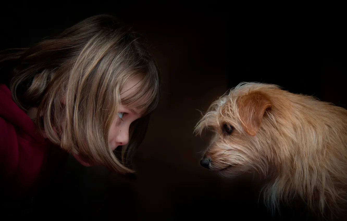 Photo wallpaper girl, dog, eye to eye
