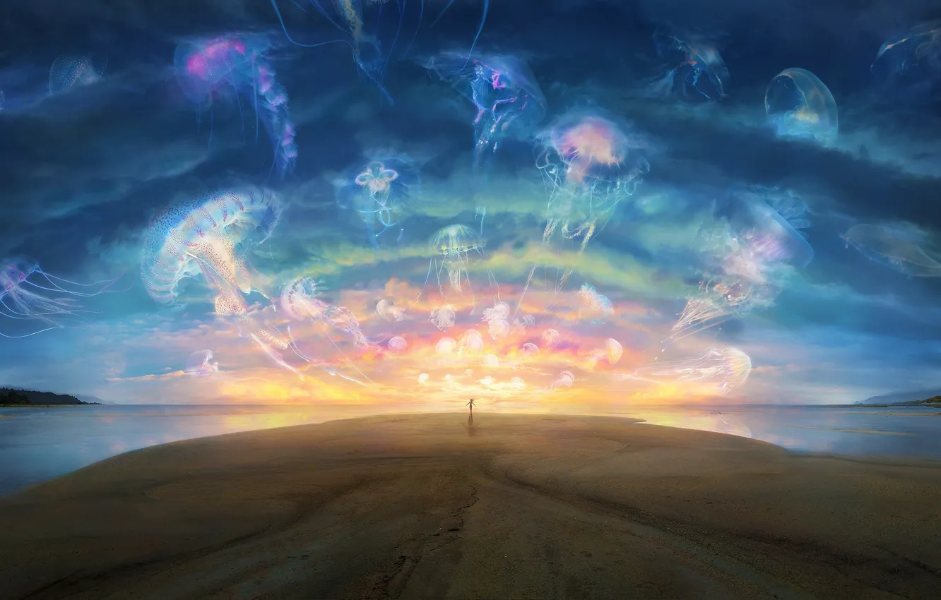 Photo wallpaper sunset, jellyfish, art, desktopography, finally serene