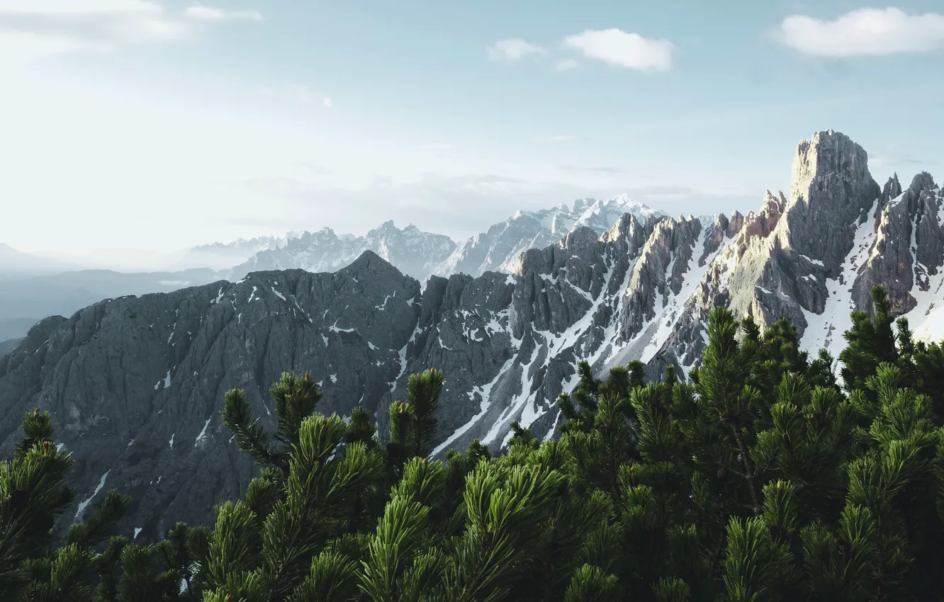 Photo wallpaper the sky, mountains, branches, tops, dal, slope, Alps, haze