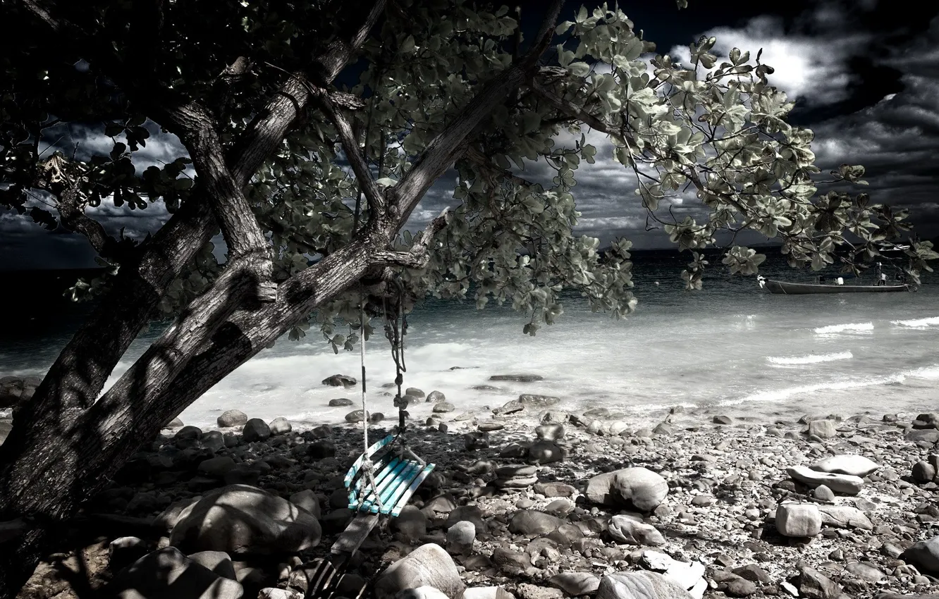 Photo wallpaper trees, stones, swing, shore