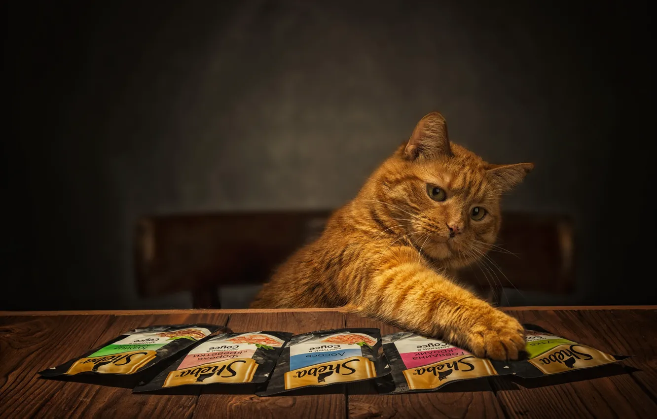 Photo wallpaper red, bag, feed, look, gesture, pose, cat, table