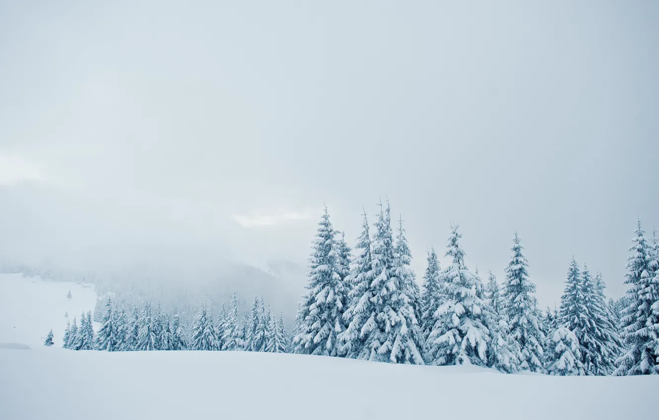 Photo wallpaper winter, snow, trees, mountains, landscape, nature, winter, mountains