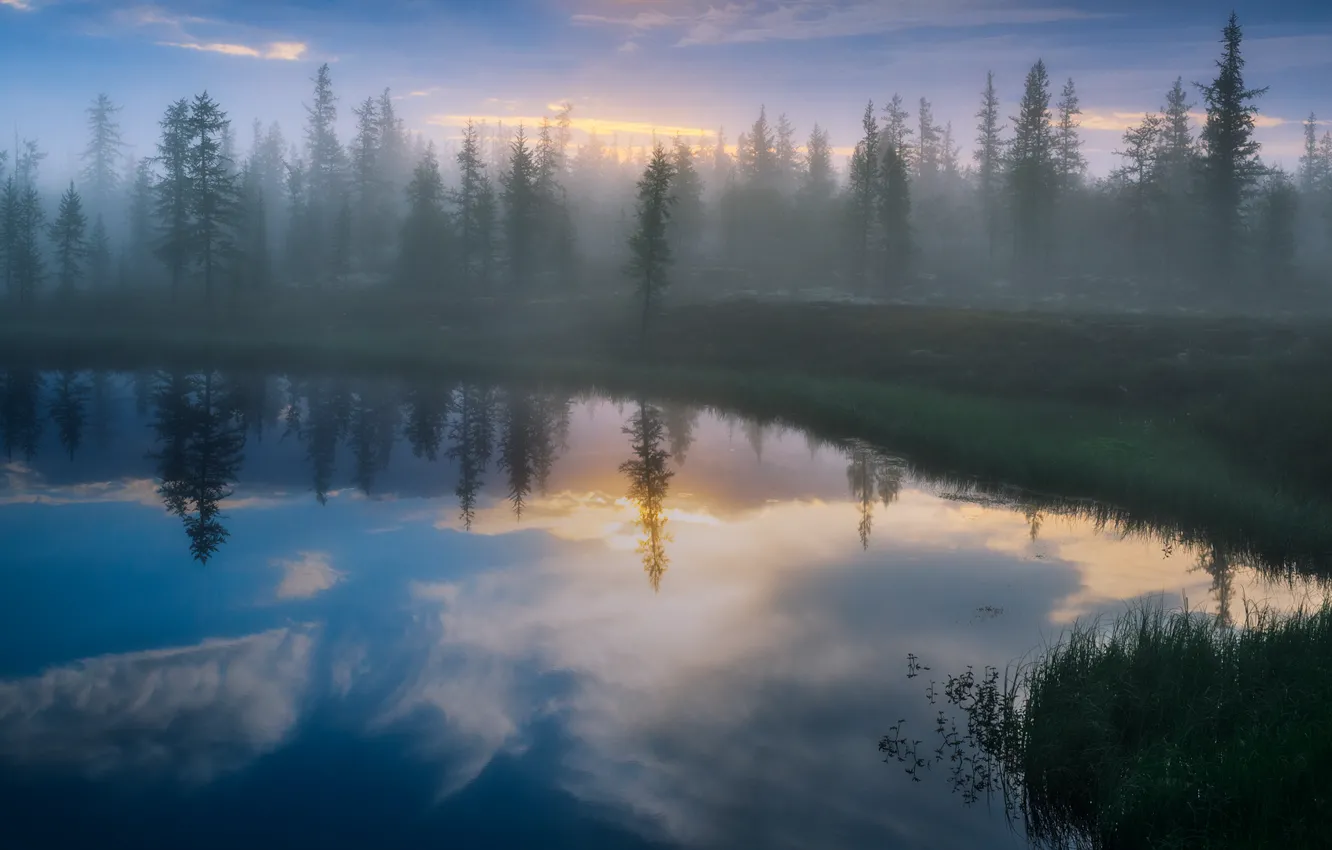 Photo wallpaper forest, trees, fog, lake, reflection, shore