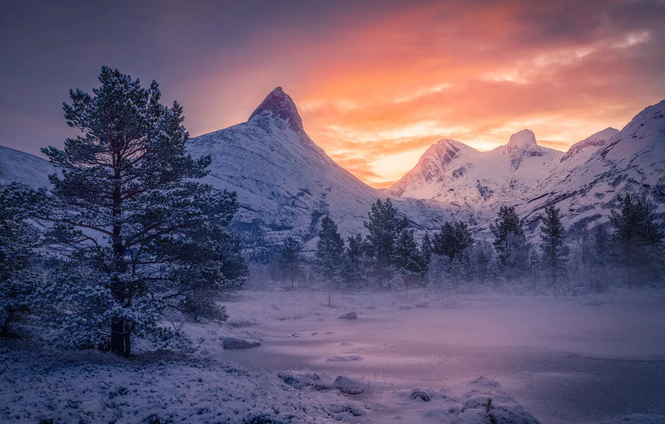 Photo wallpaper forest, snow, trees, sunset, mountains, shore, the evening, pond