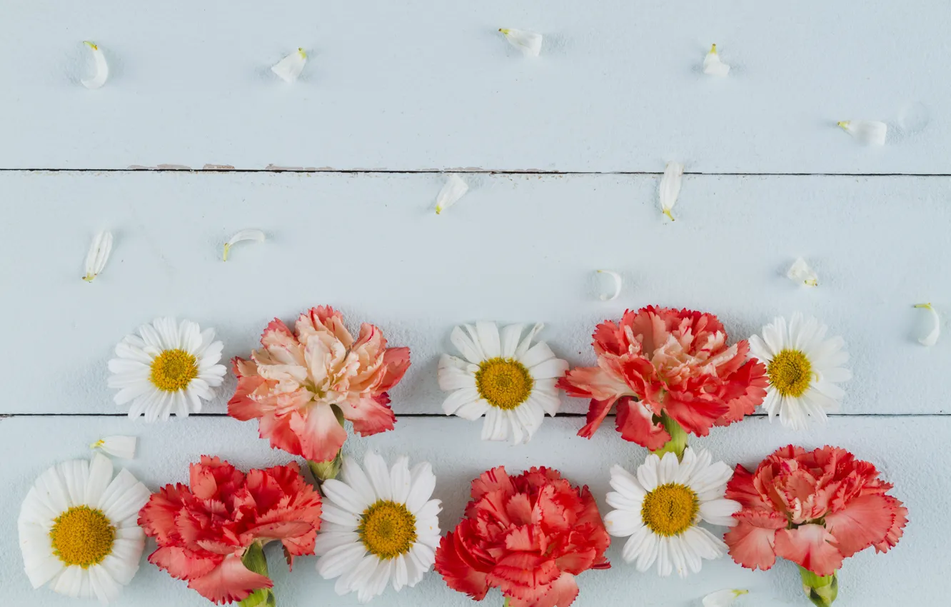Photo wallpaper flowers, chamomile, wood, clove