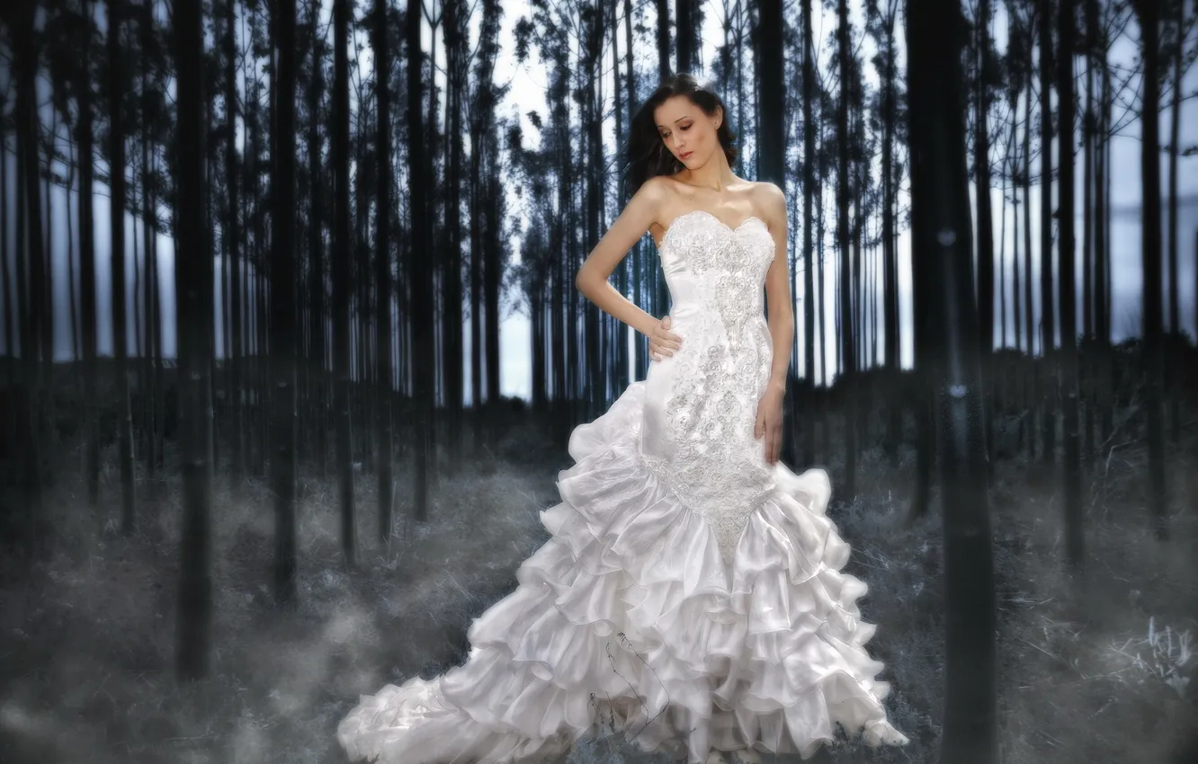 Photo wallpaper forest, girl, installation