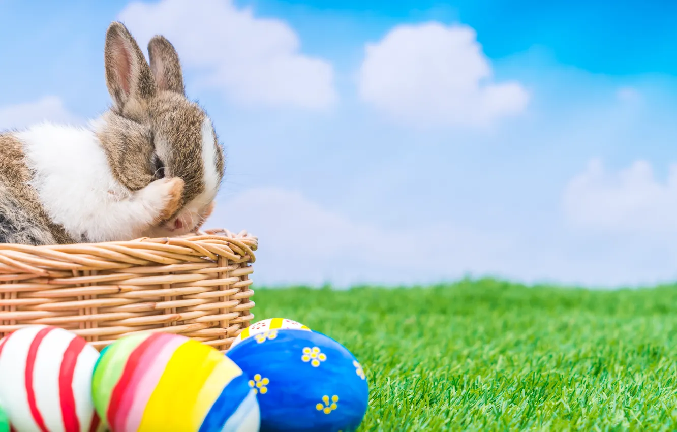 Photo wallpaper holiday, basket, rabbit, Easter, eggs dyed