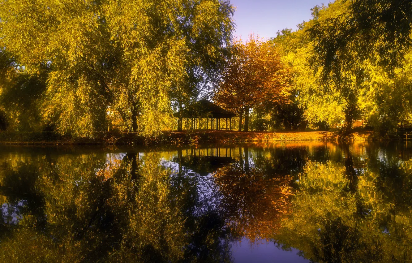 Photo wallpaper autumn, trees, Park, reflection, river, England, gazebo, England