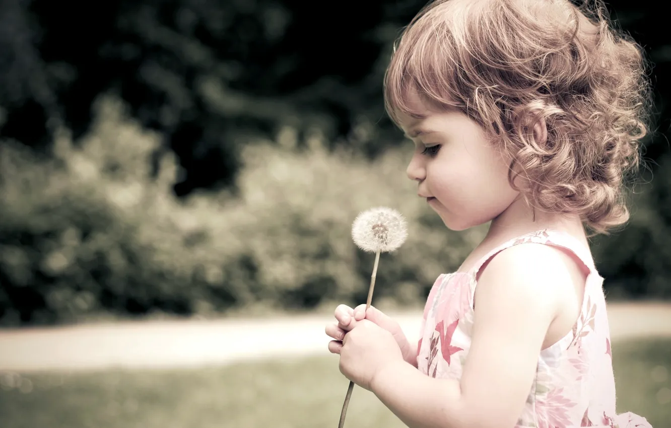 Photo wallpaper flower, dandelion, child, girl, curls, child