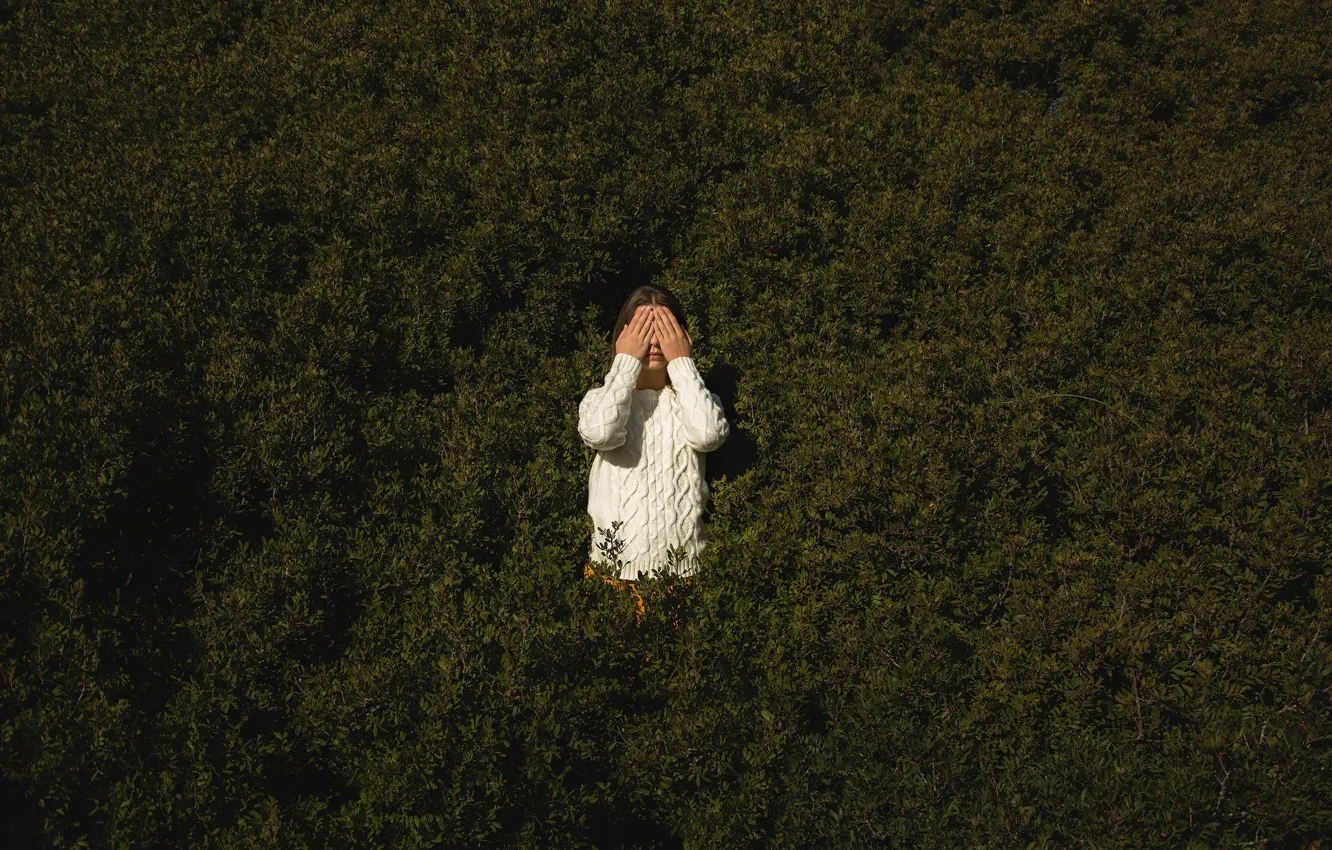 Photo wallpaper girl, vegetation, Shy, sweater