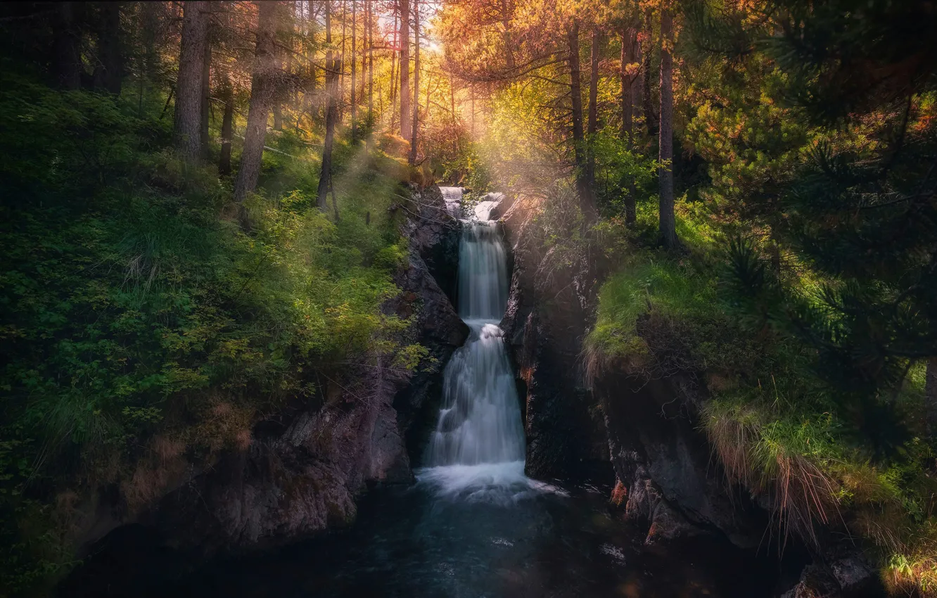 Photo wallpaper forest, rays, light, trees, waterfall, twilight