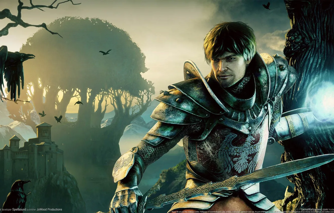 Photo wallpaper balls, magic, crows, Gothic 4, Arkania