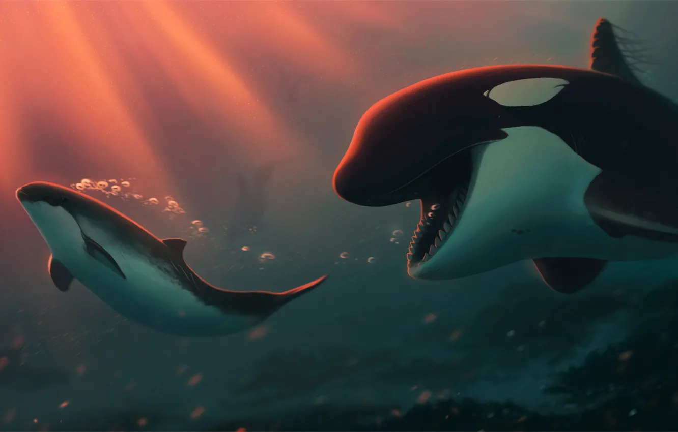 Photo wallpaper sea, under water, orcas, by Ciorano