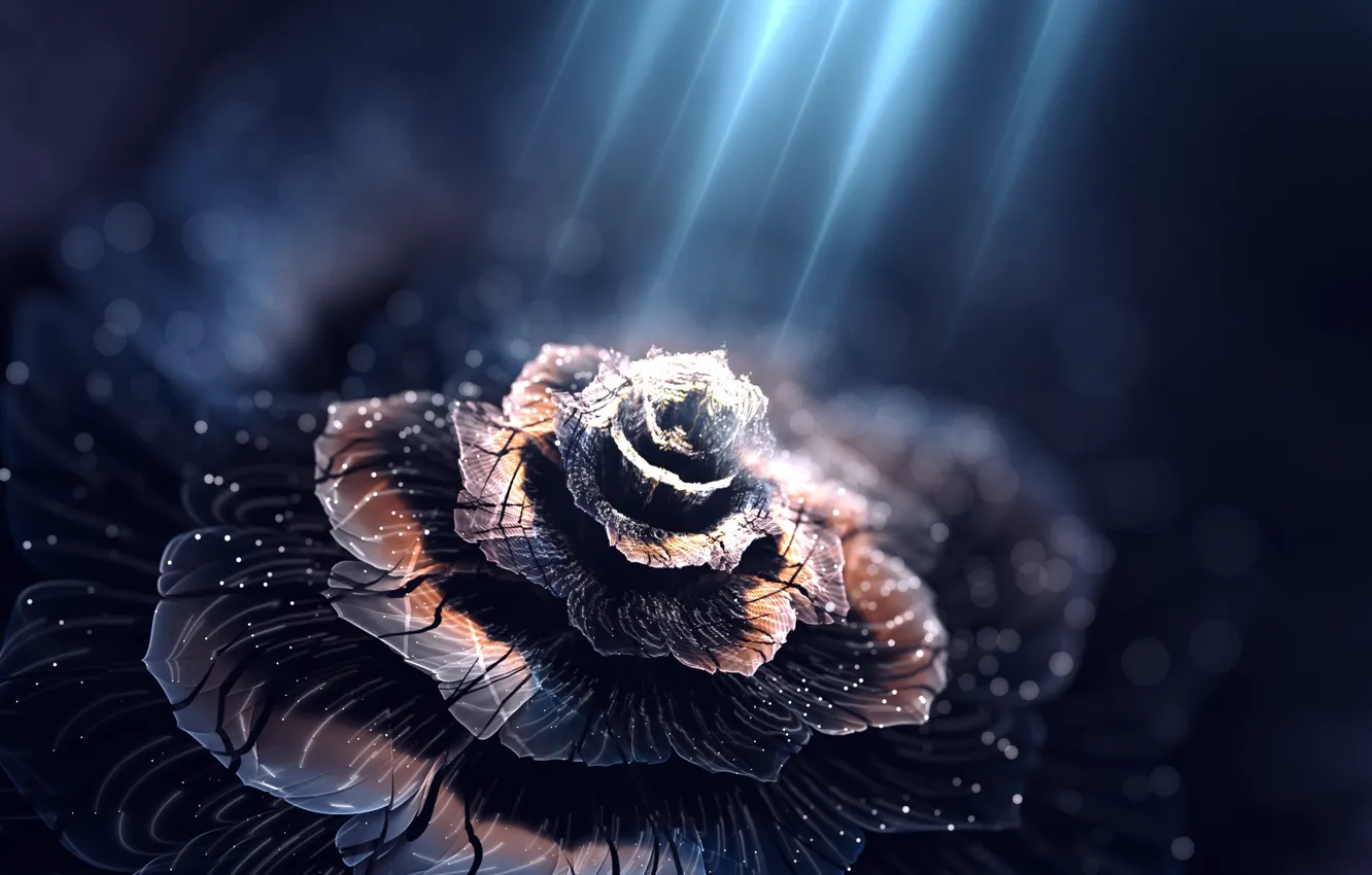 Photo wallpaper light, flowers, petals, illuminates