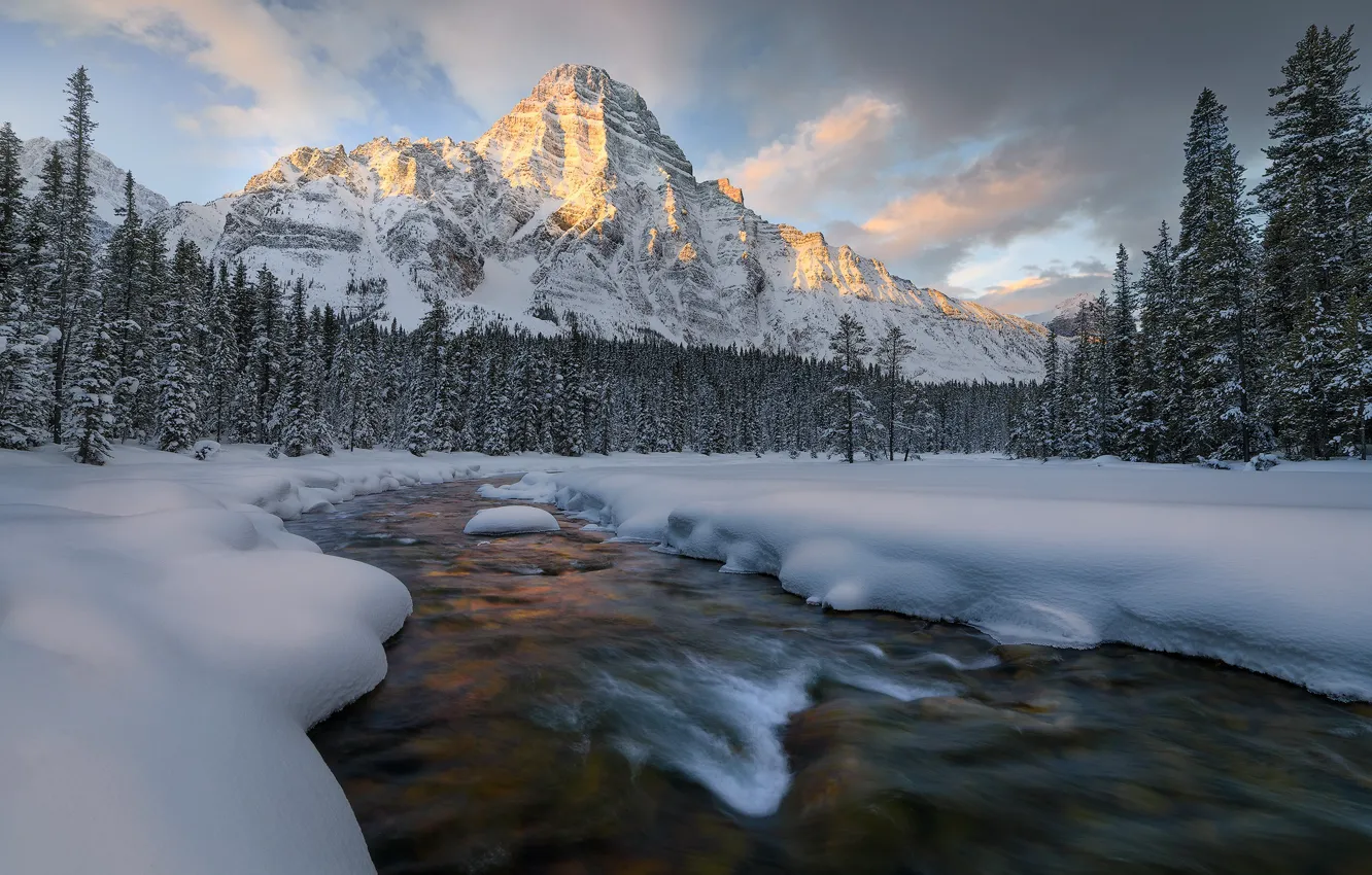 Photo wallpaper winter, frost, forest, clouds, light, snow, mountains, river
