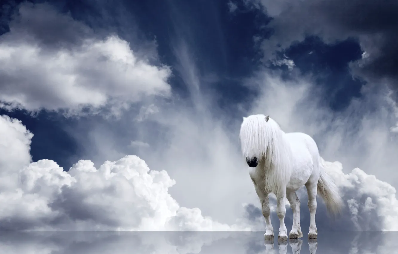 Photo wallpaper clouds, horse, mane