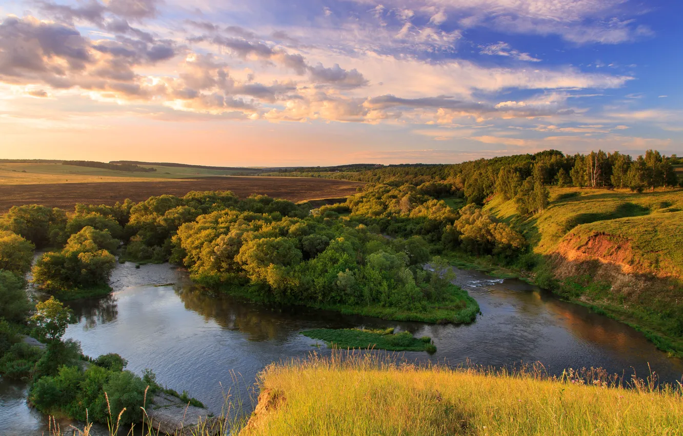 Photo wallpaper trees, river, panorama