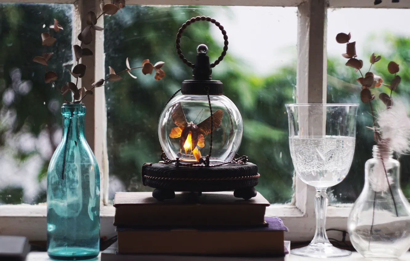 Photo wallpaper fireflies, lamp, night light