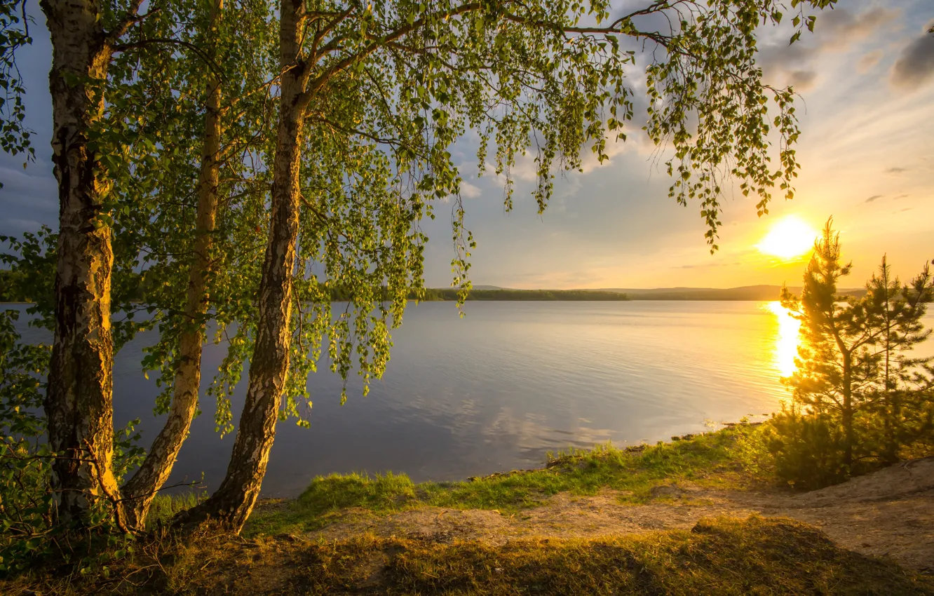 Photo wallpaper the sun, trees, landscape, sunset, nature, river, shore, birch