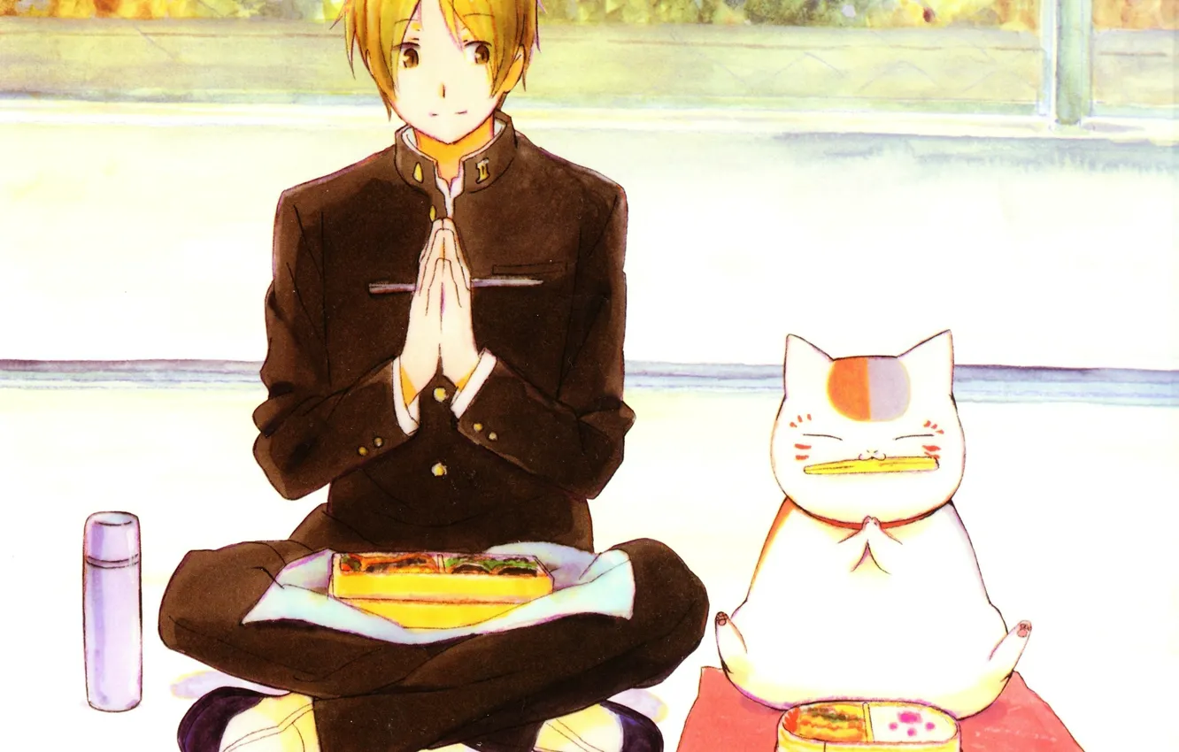 Photo wallpaper cat, window, lunch, thermos, Natsume Yuujinchou, The Natsume book of friendship, Bento, student
