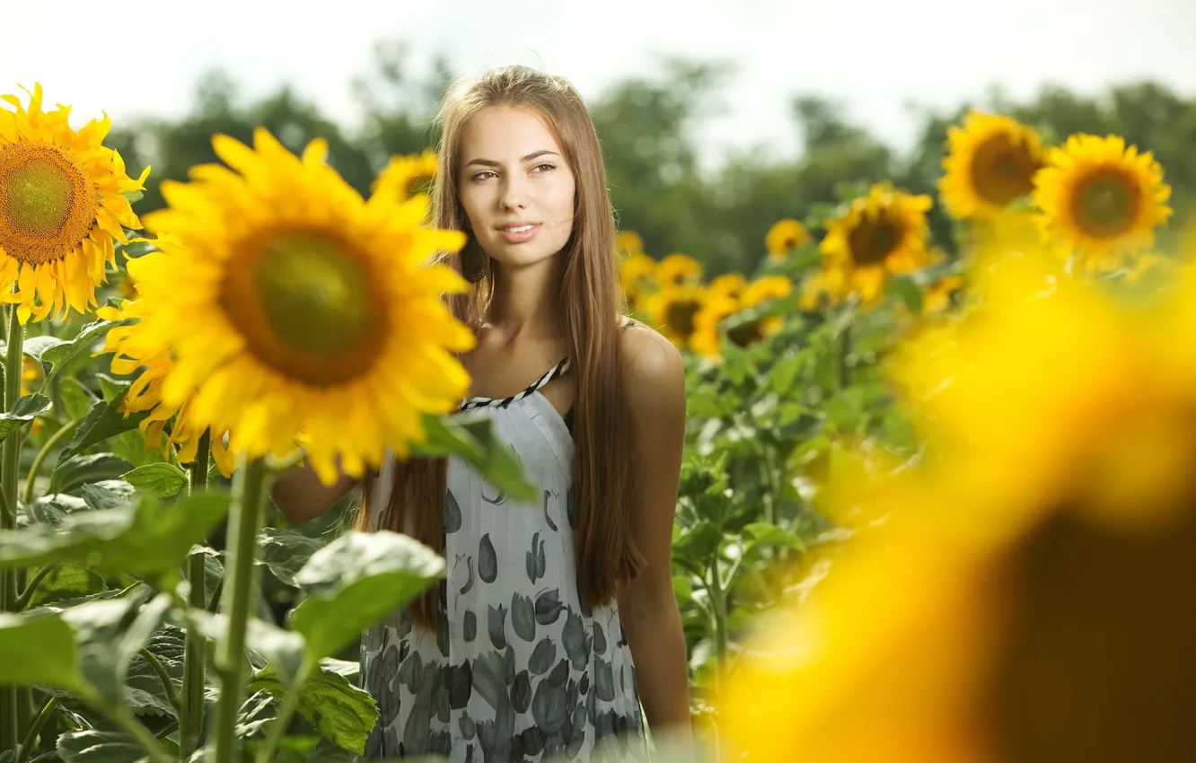 Photo wallpaper field, girl, the sun, macro, sunflowers, flowers, smile, background