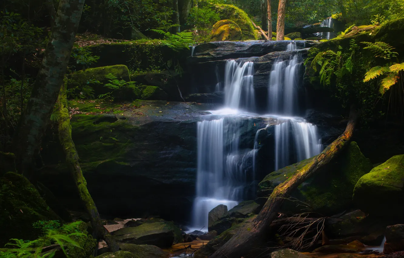 Photo wallpaper forest, stones, waterfall, moss, Australia, cascade, Australia, New South Wales