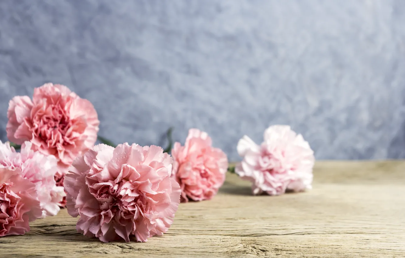 Photo wallpaper flowers, petals, pink, wood, pink, flowers, beautiful, clove