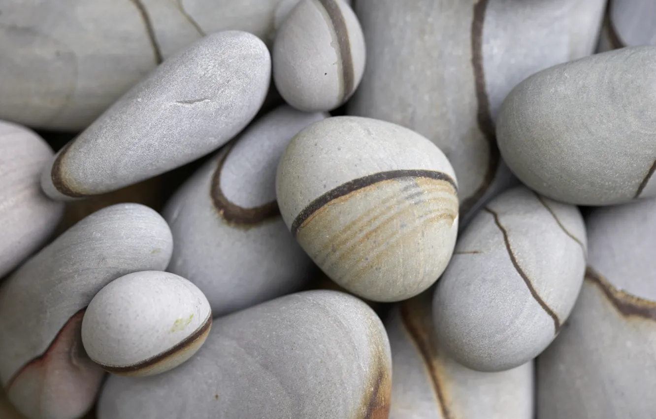 Photo wallpaper pebbles, stone, grey