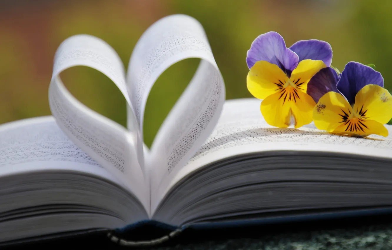 Photo wallpaper flowers, heart, book, Pansy, page, bokeh, composition, violet
