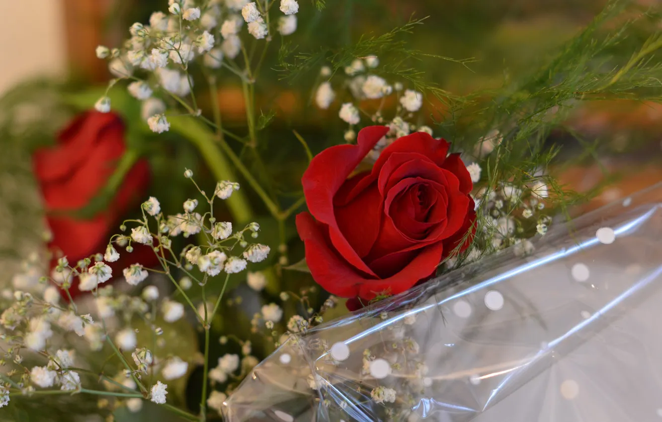 Photo wallpaper flowers, red, roses, bouquet, buds, packaging, composition, gypsophila