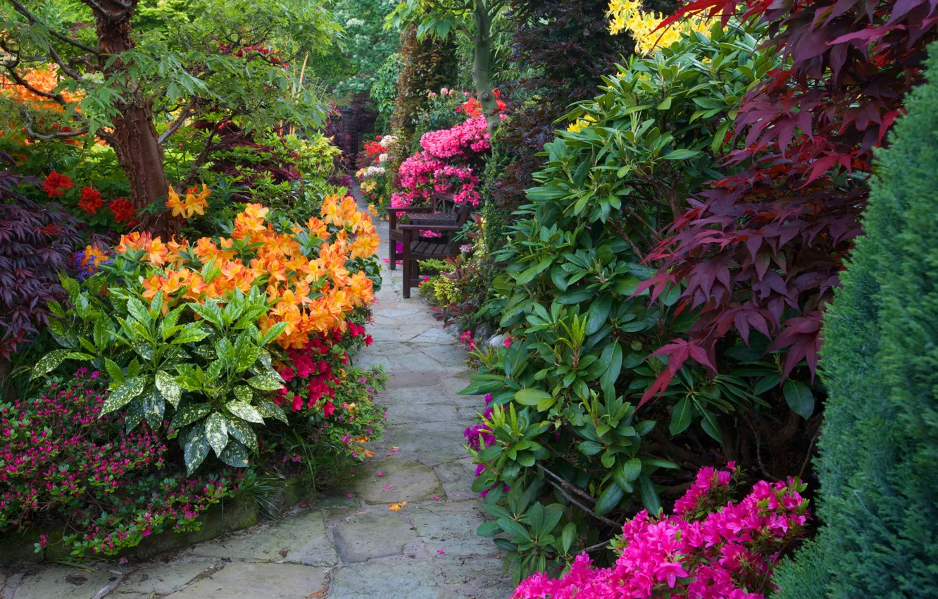 Photo wallpaper trees, flowers, bench, England, garden, track, alley, the bushes