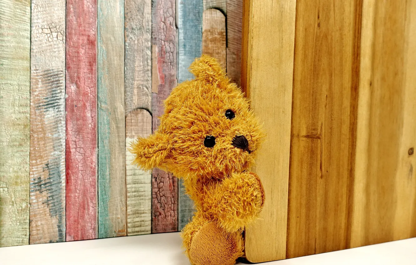 Photo wallpaper toy, bear, Background