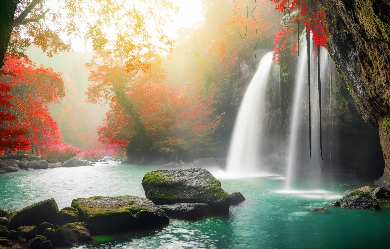 Photo wallpaper autumn, forest, water, trees, nature, river, stones, waterfall