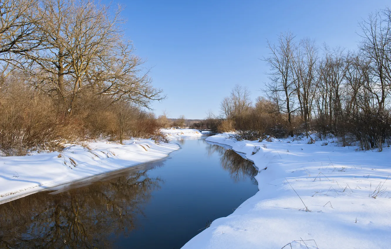 Photo wallpaper winter, forest, snow, river, calm