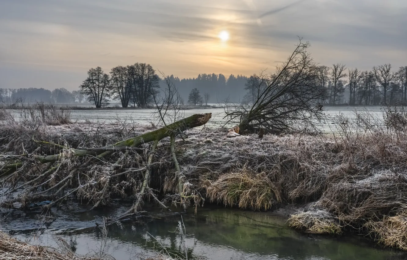 Photo wallpaper winter, river, the evening