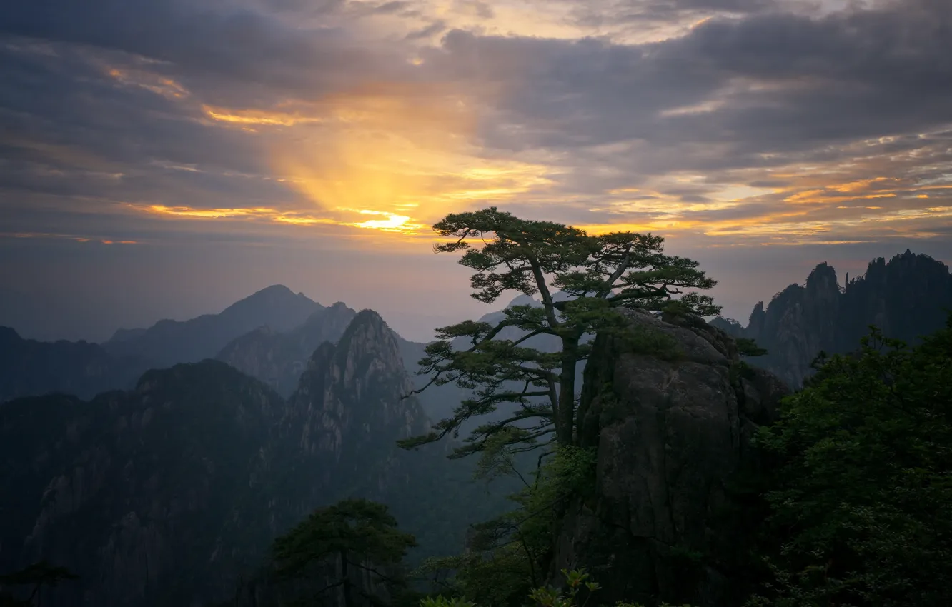Photo wallpaper clouds, trees, sunset, mountains, fog, rocks, dawn, pine