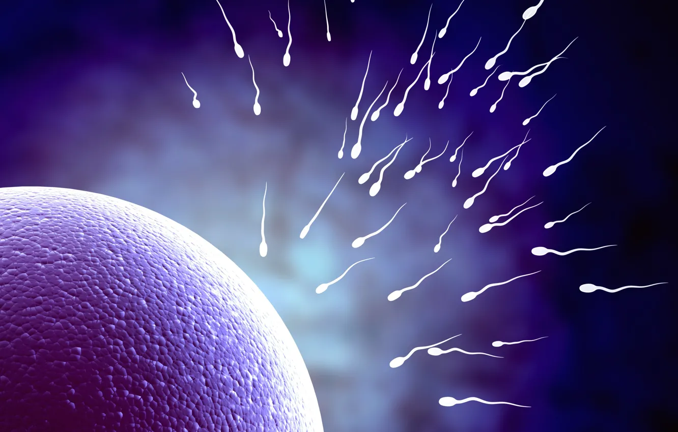 Photo wallpaper life, egg, fertility, sperm