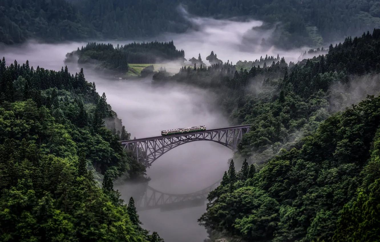 Photo wallpaper forest, mountains, bridge, river, train, Tadam Of The Line In Japan