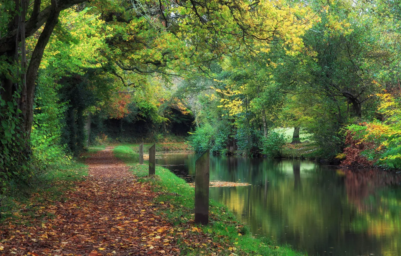 Photo wallpaper autumn, Park, channel, UK, falling leaves, Wales, Wales, Llanover
