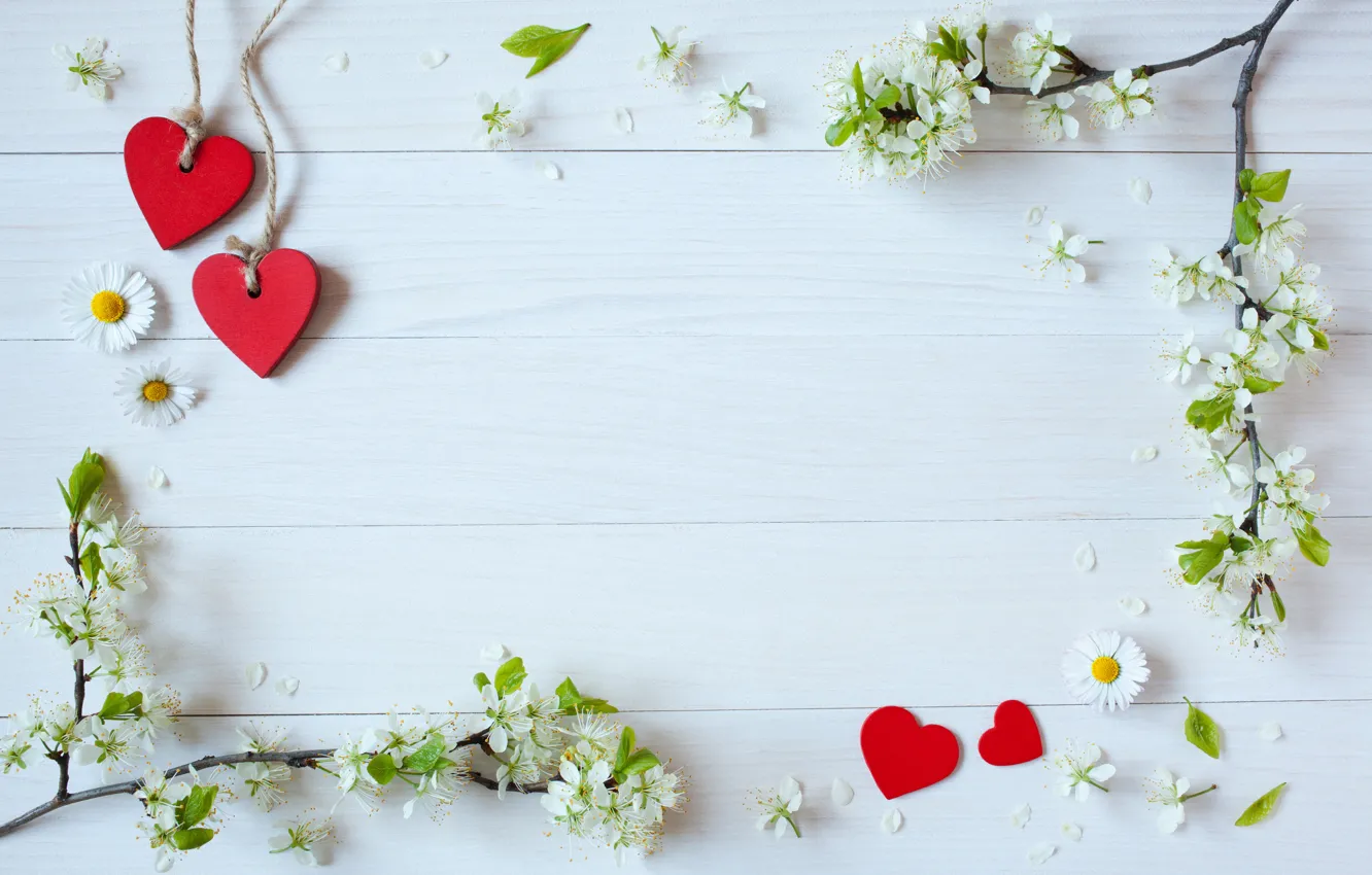 Photo wallpaper flowers, branches, holiday, chamomile, hearts
