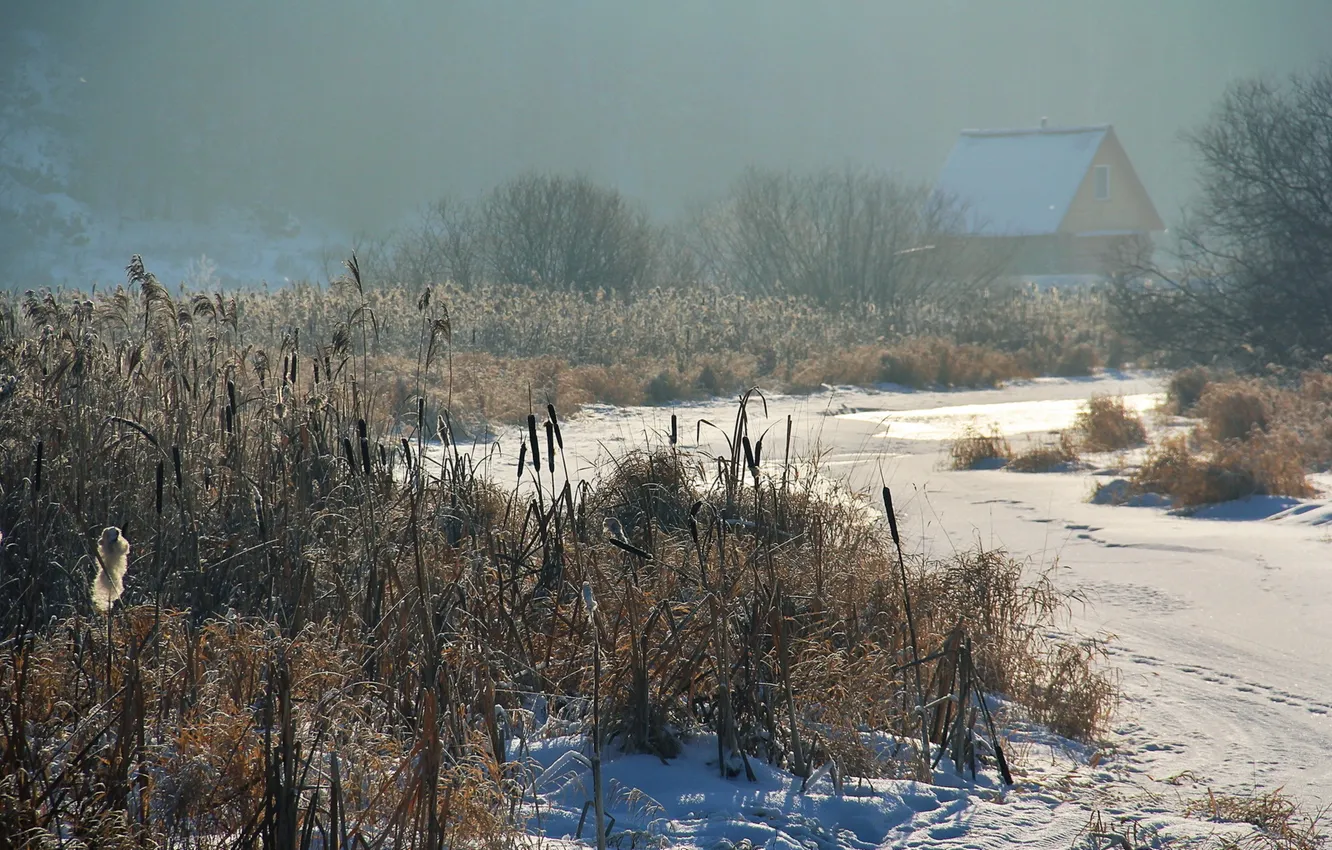 Photo wallpaper winter, snow, house, river, the evening, reed