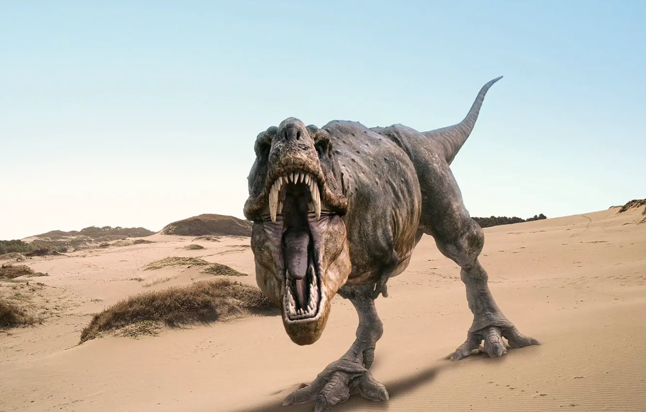 Photo wallpaper sand, dinosaur, mouth, roar, Rex