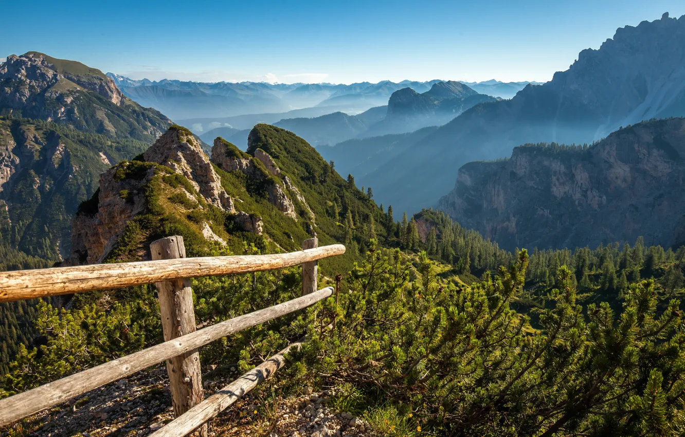 Photo wallpaper greens, forest, summer, mountains, branches, fog, rocks, tops