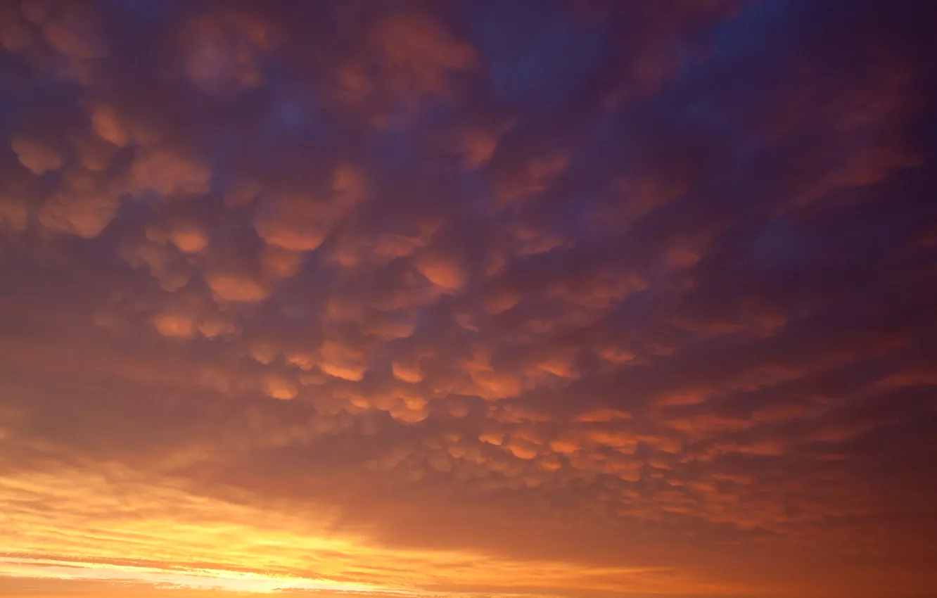 Photo wallpaper the sky, clouds, sunset, horizon