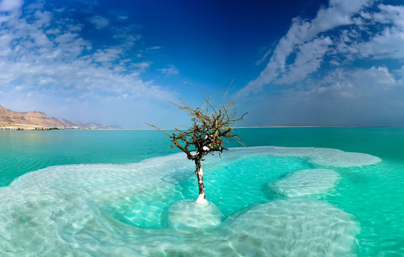 Photo wallpaper sea, the sky, clouds, tree, Israel, Dead Sea, Neve Zohar