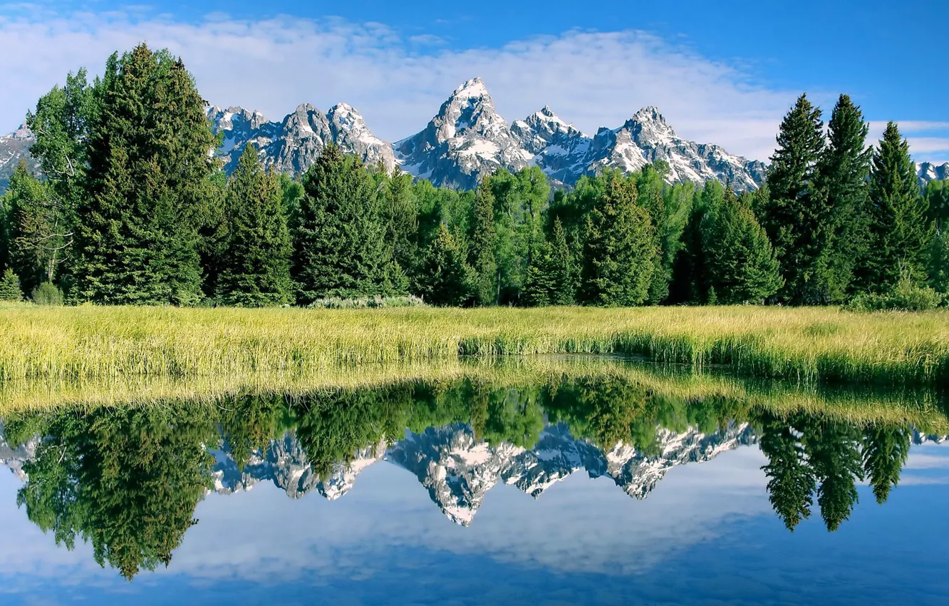Photo wallpaper forest, trees, mountains, lake